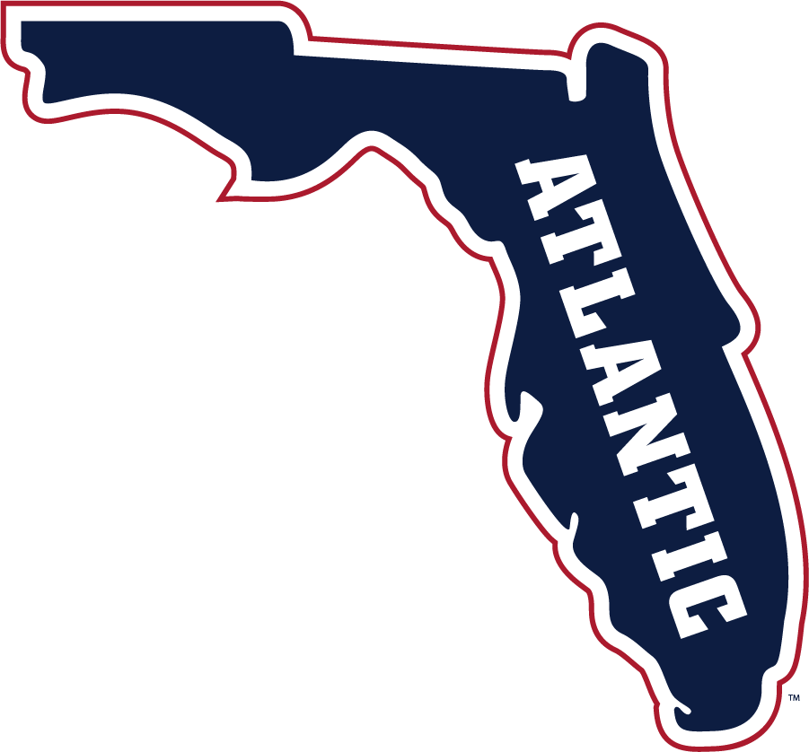 Florida Atlantic Owls 2015-Pres Secondary Logo t shirts iron on transfers